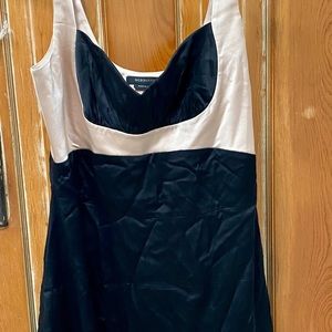 BCBG bodycon dress